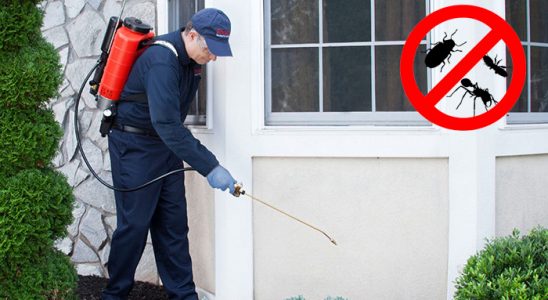 Polatlı Bit İlaçlama böcek ilaçlama ve haşere kontrolü — ilaclama-tr.com